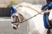 Bridle No.225