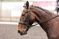 Bridle No.107