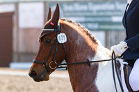 Bridle No.35