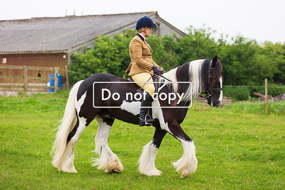 _54A0487