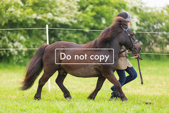 _54A0494