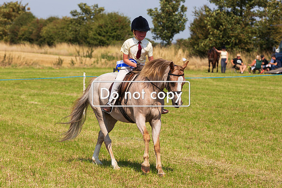 _54A1865